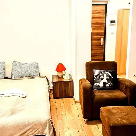Flowers Apartman 布达佩斯